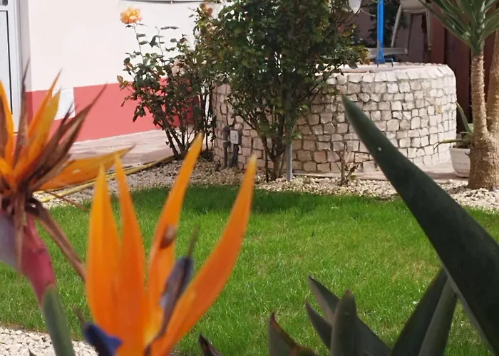 Rum i privatbostad Ranch Lau&ri Nazare Cela Velha
